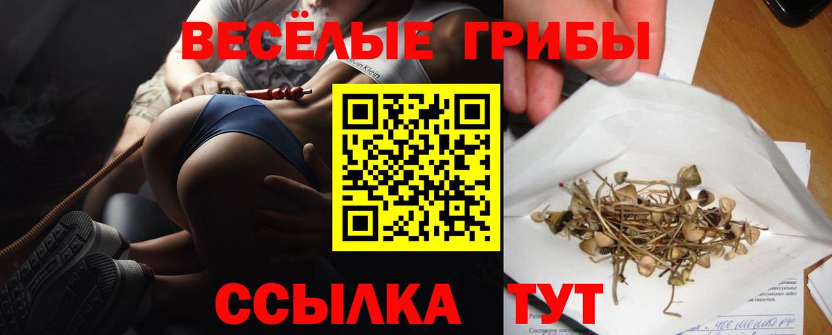 Галлюциногенные грибы GOLDEN TEACHER Алушта